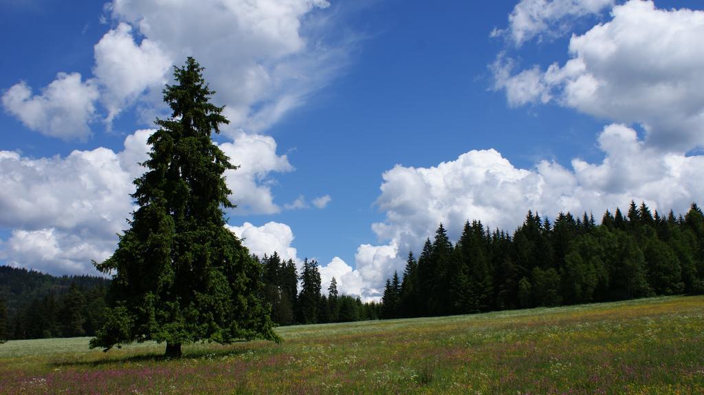 Apartmán Na Šumavě-Volary Apartman Kültér fotó